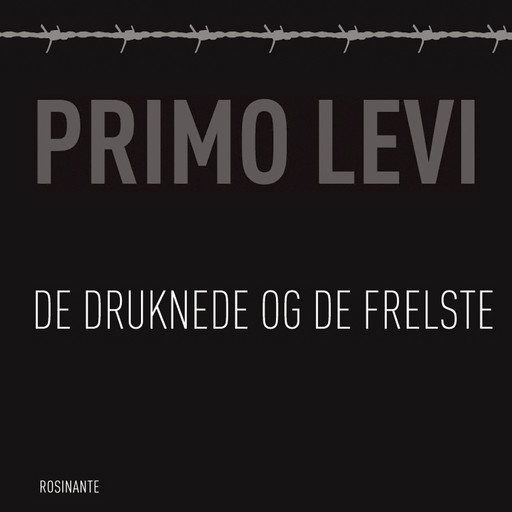 De druknede og de frelste, Primo Levi