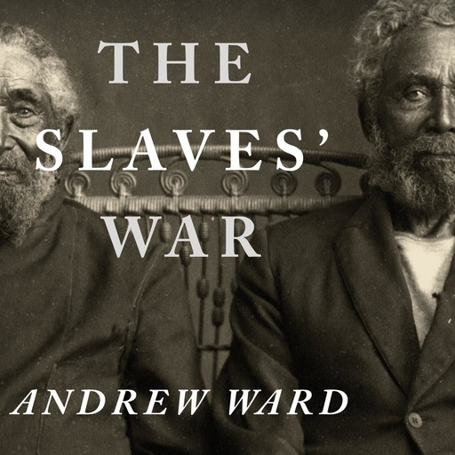 The Slaves' War, Andrew Ward