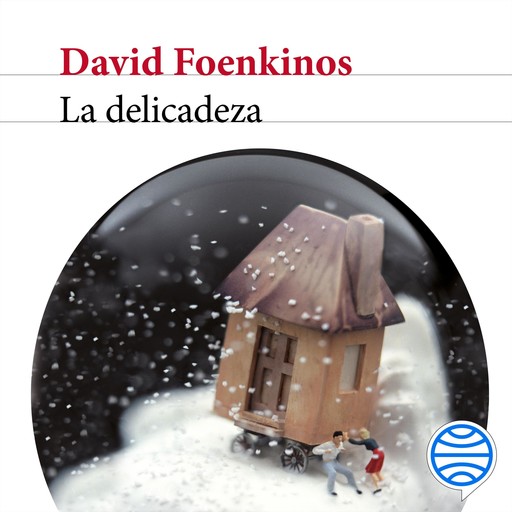 La delicadeza, David Foenkinos