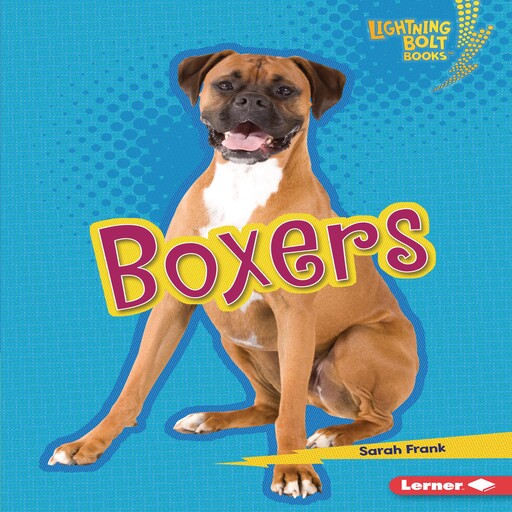 Boxers, Sarah Frank