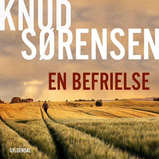 En befrielse, Knud Sørensen