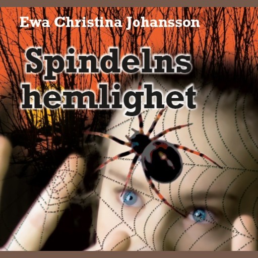 Spindelns hemlighet, Ewa Christina Johansson