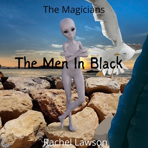 The Men In Black, Rachel Lawson