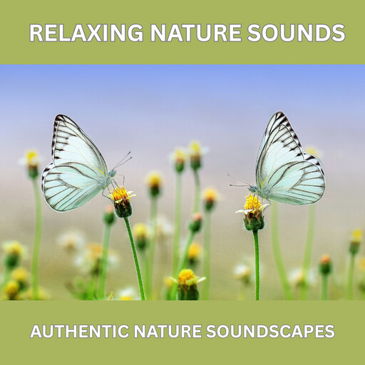 Relaxing Nature Sounds – Over 10 Hours of Pure Natural Ambience (Without Music), My Nature Sounds Therapy