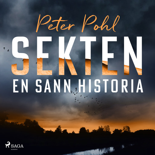 Sekten: en sann historia, Peter Pohl