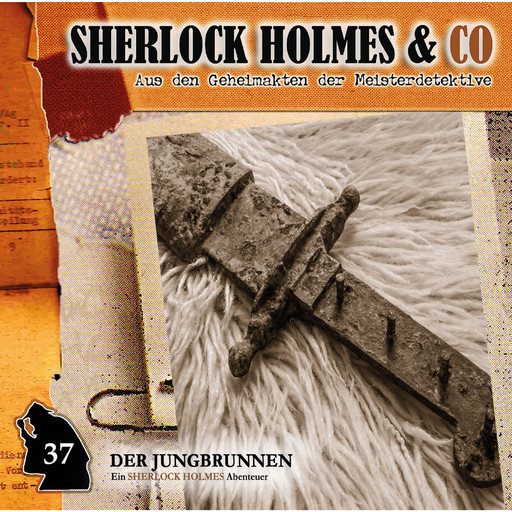 Sherlock Holmes & Co, Folge 37: Der Jungbrunnen, Episode 2, Markus Topf
