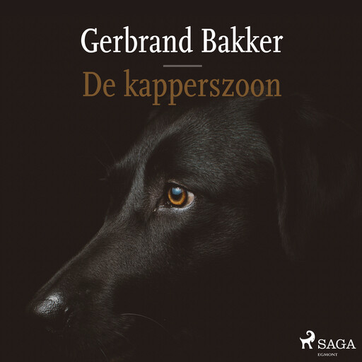 De kapperszoon, Gerbrand Bakker