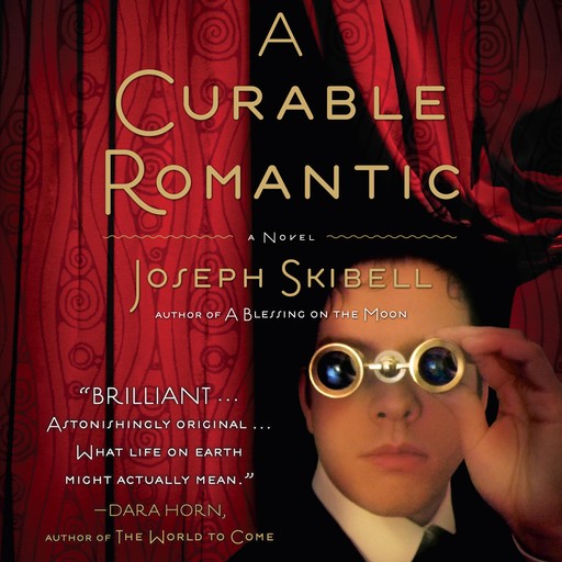 A Curable Romantic, Joseph Skibell
