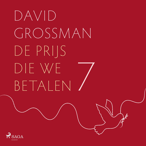 Schrijver in bezettend gebied, David Grossman