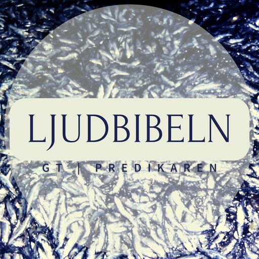 GT | Predikaren, Ljudbibeln