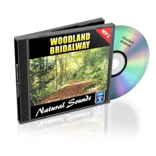 Woodland Bridal Way - Relaxation Music and Sounds, Empowered Living