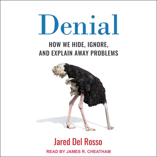 Denial, Jared Del Rosso
