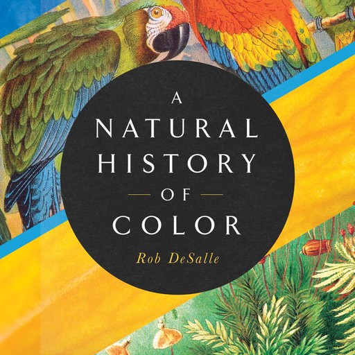 A Natural History of Color, Rob DeSalle, Hans Bachor