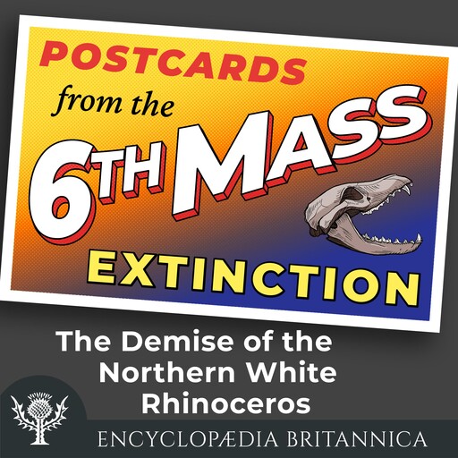 The Demise of the Northern White Rhinoceros, John Rafferty