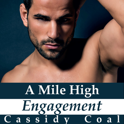 A Mile High Engagement (A Mile High Romance Book 6), Cassidy Coal