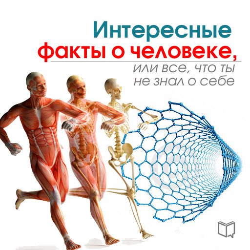 The Interesting Facts About Man: All You Don't Know About Yourself [Russian Edition], Kevin Levinson