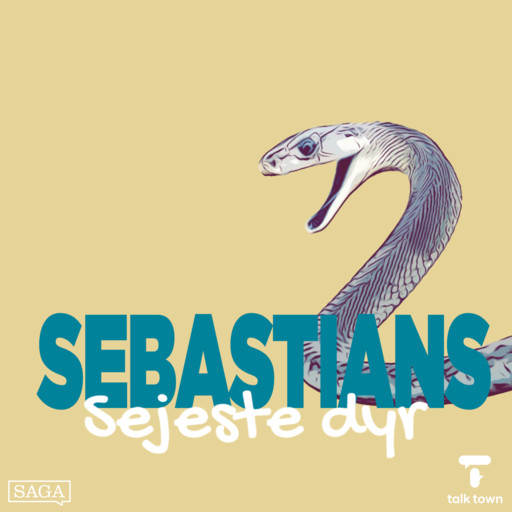 Den sorte mamba, Sebastian Klein