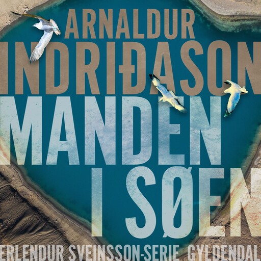 Manden i søen, Arnaldur Indridason