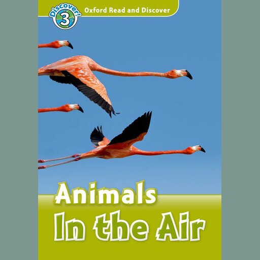 Animals in the Air, Robert Quinn