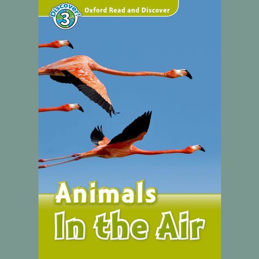 Animals in the Air, Robert Quinn