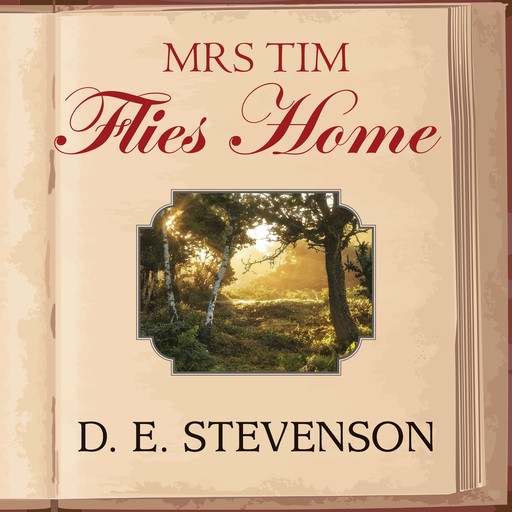 Mrs Tim Flies Home, D.E. Stevenson
