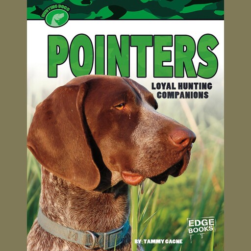 Pointers, Tammy Gagne
