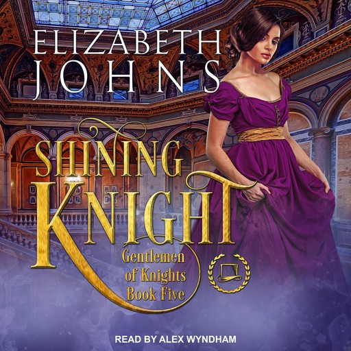 Shining Knight, Elizabeth Johns