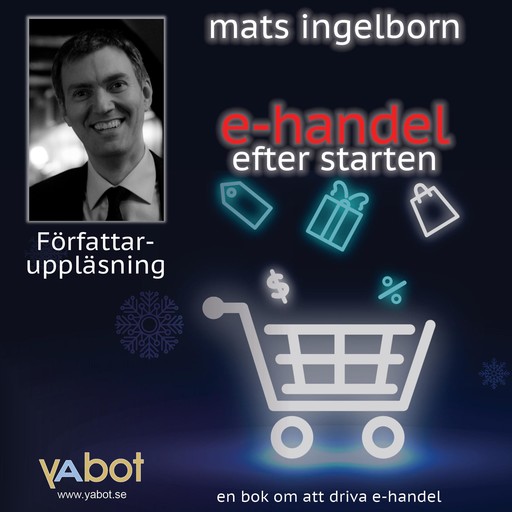 E-handel efter starten, Mats Ingelborn