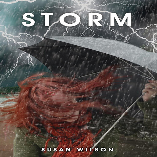 Storm, Susan Wilson
