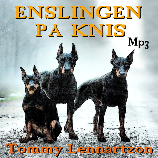 Enslingen på Knis, Tommy Lennartzon