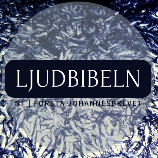 NT | Första Johannesbrevet, Ljudbibeln