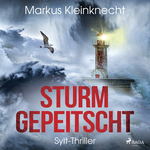 Sturmgepeitscht: Sylt-Thriller, Markus Kleinknecht