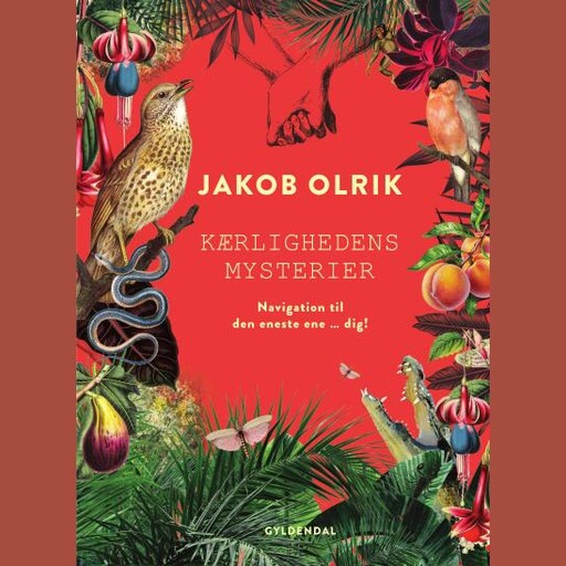 Kærlighedens mysterier, Jakob Olrik