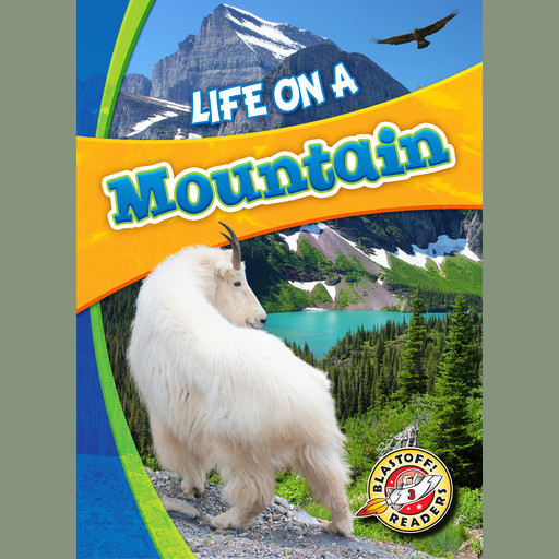 Life on a Mountain, Laura Hamilton Waxman