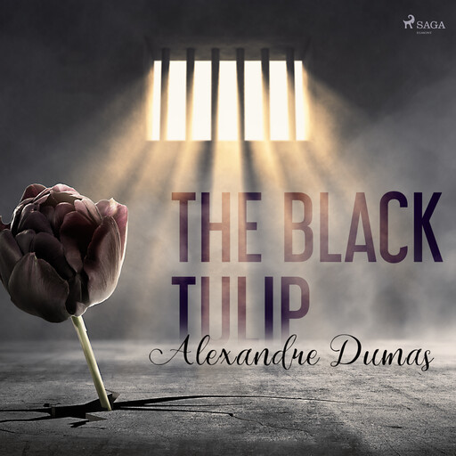 The Black Tulip, Alexander Dumas