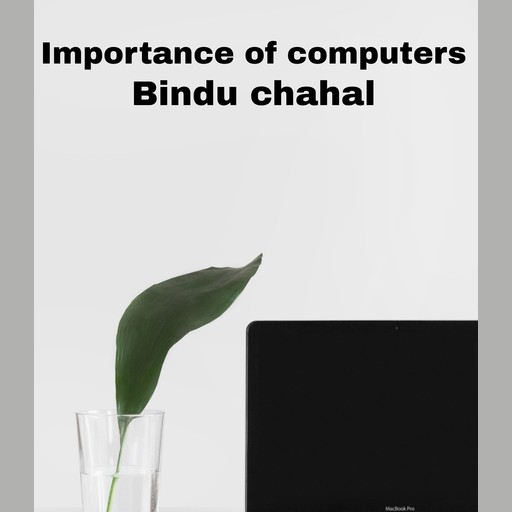 Importance of computers, Bindu chahal