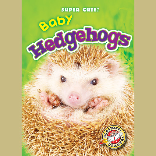 Baby Hedgehogs, Megan Borgert-Spaniol