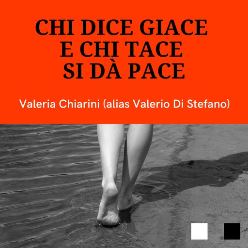 Chi dice giace e chi tace si dà pace, Valerio Di Stefano