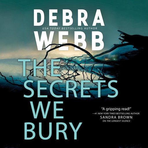 The Secrets We Bury, Debra Webb