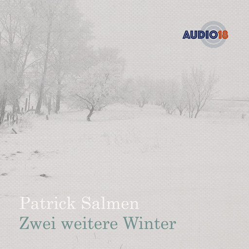 Zwei weitere Winter (Gekürzt), Patrick Salmen