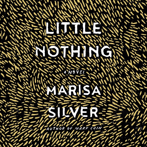 Little Nothing, Marisa Silver