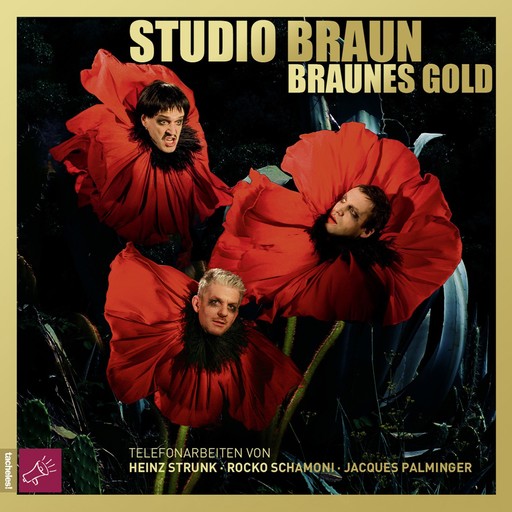 Braunes Gold, Studio Braun