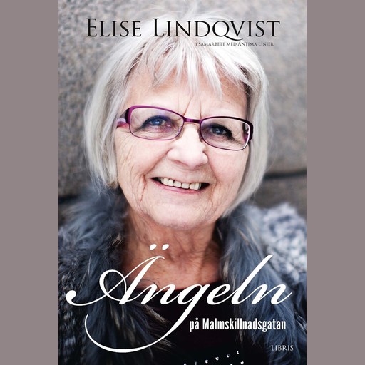 Ängeln på Malmskillnadsgatan, Elise Lindqvist