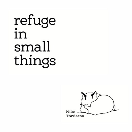 Refuge in Small Things, Mike Travisano