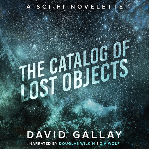 The Catalog of Lost Objects, David Gallay