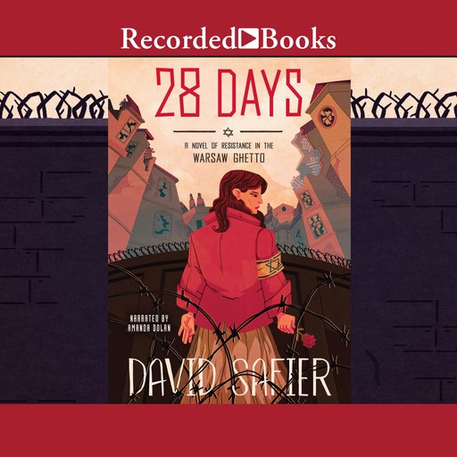 28 Days, David Safier