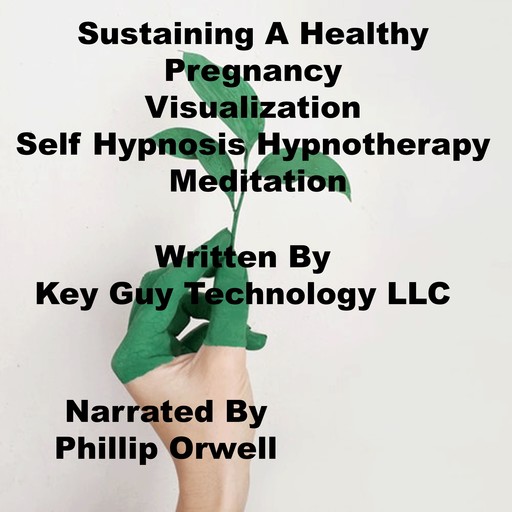 Sustaining A Healthy Pregnancy Visualization Self Hypnosis Hypnotherapy Meditation, Key Guy Technology LLC