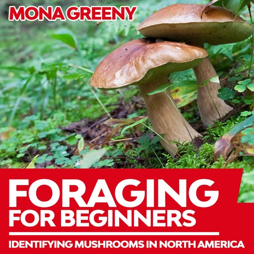 Foraging For Beginners, Mona Greeny