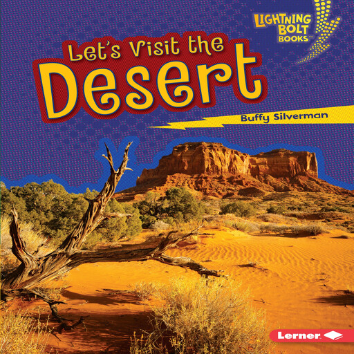 Let's Visit the Desert, Buffy Silverman