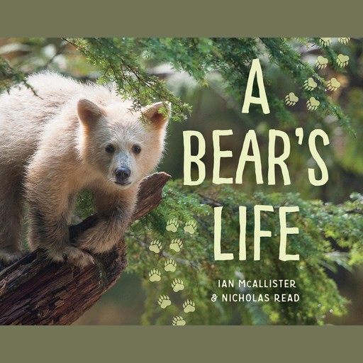 A Bear's Life, Ian McAllister, Nicholas Read